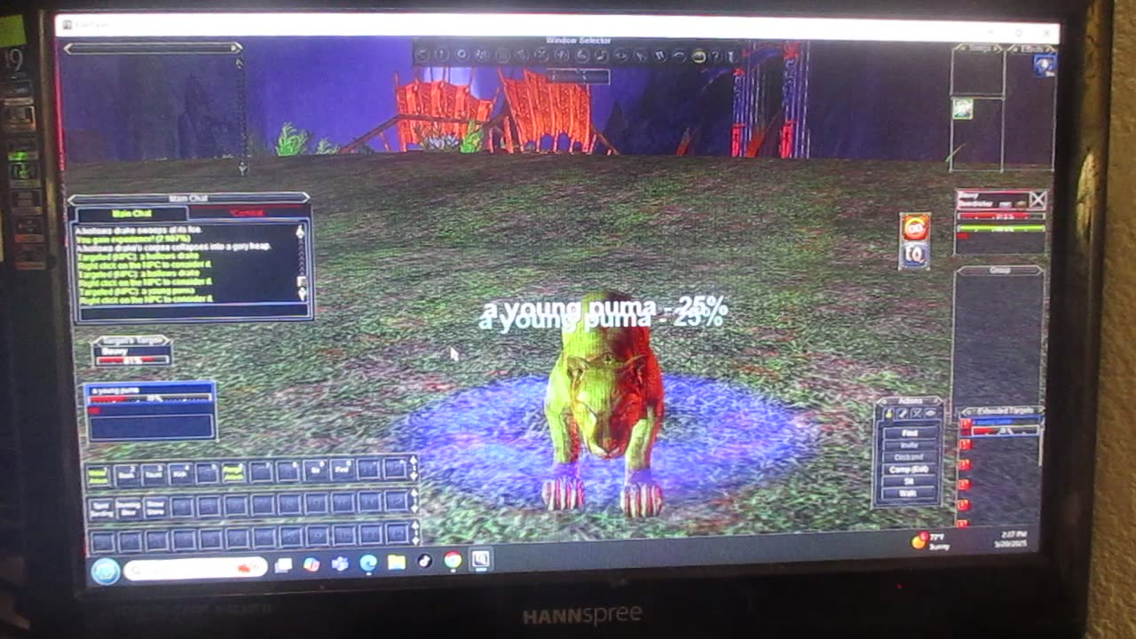 EverQuest: Zombie Fighter Level 10