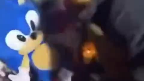 Netherlands: Coudenhove Kalergi imported youths steal stuffed animals from a memorial.