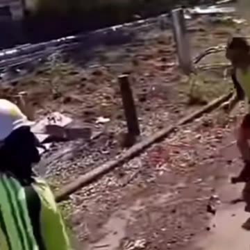 Funny fails never seen