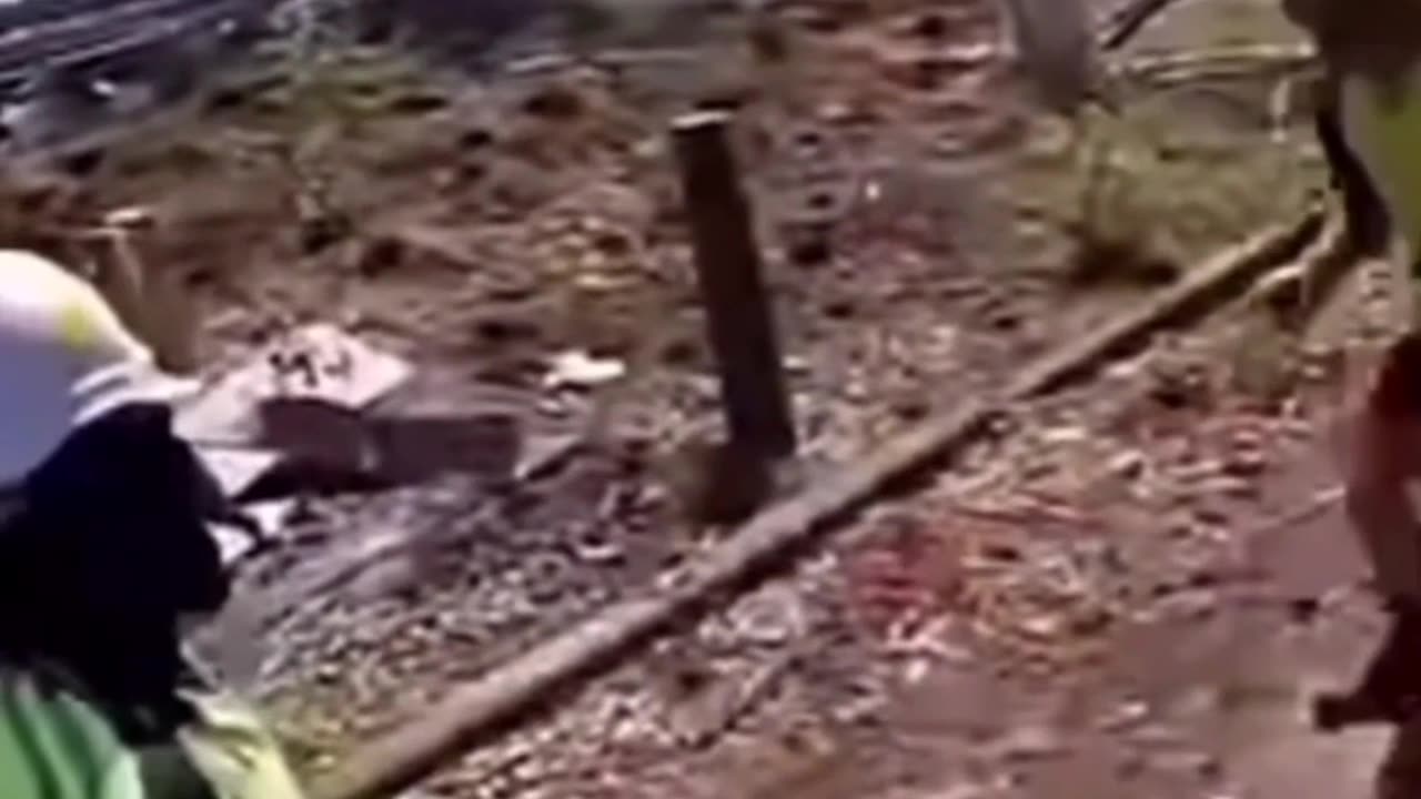 Funny fails never seen