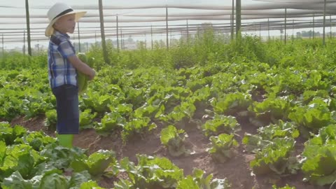EP3/9 - 癌症的真相 Cancer-killing viruses, cancer stem cells, GMOS, juicing & Eating the rainbow (The Truth About Cancer)