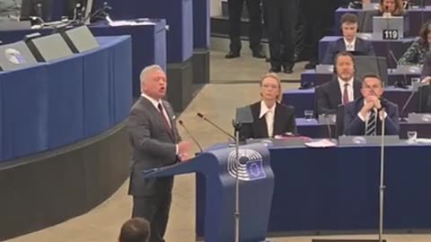 DIRECT DIN PARLAMENTUL EUROPEAN CU LUIS LAZARUS ȘI GREGORSZ BRAUN