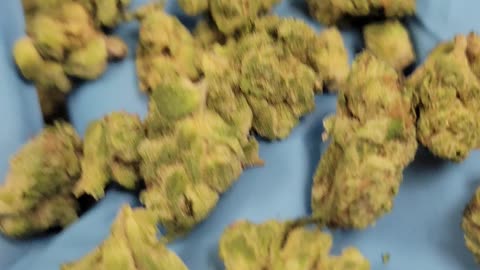 F1 Flower - THCA