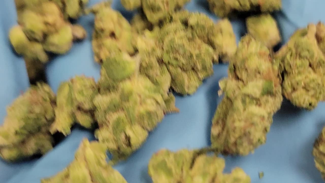 F1 Flower - THCA