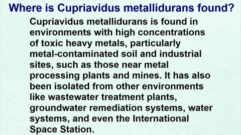 The Bacterium That Eats Heavy Metal And Poops Gold Is A Tiny Badass