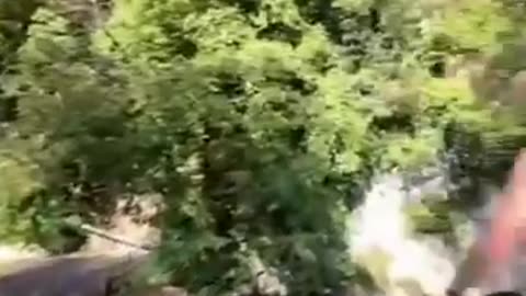 🤯🦜 The Way He Flies is Outrageous! | FunFM