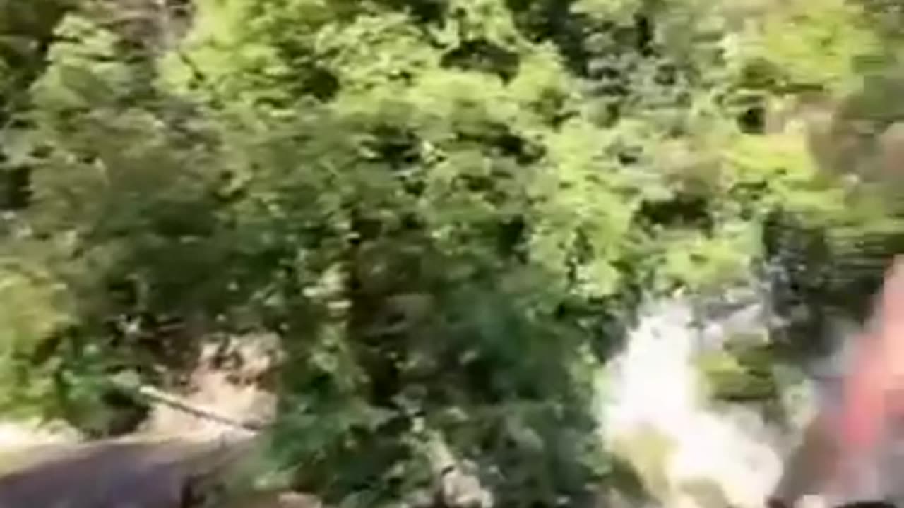 🤯🦜 The Way He Flies is Outrageous! | FunFM