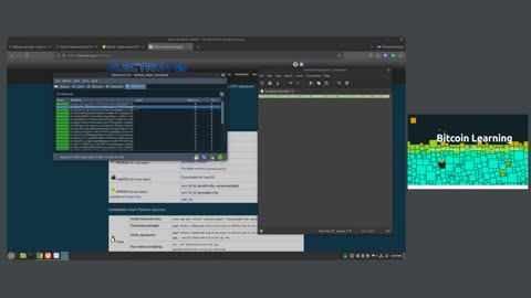 Electrum Wallet Jan 2025 Review