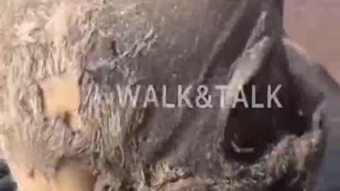 Ukraine war combat footage 9/15/25