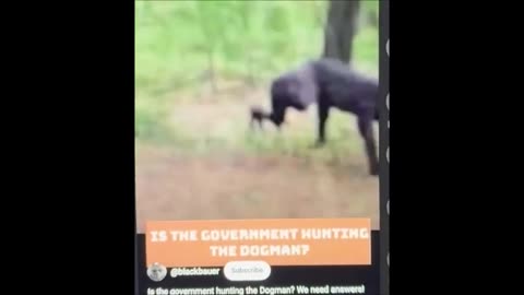 Dogman running in woods claimed as govt leaked footage