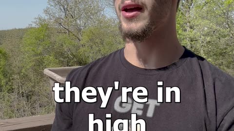 High Interest