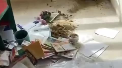 Shkatërrohet shkolla e fshatit, policia bën me faj dy të mitur