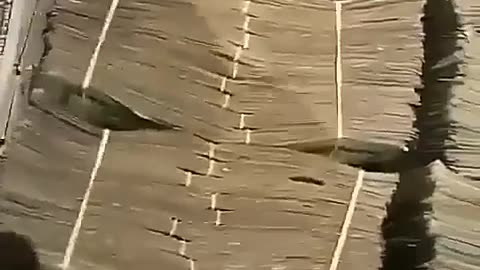 BENEFIT OF THE ILLUMINATI BROTHERHOOD ORGANIZATION.