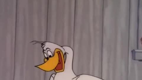 Woody Woodpecker and Friends - 1962x05 - Fowled-Up Birthday