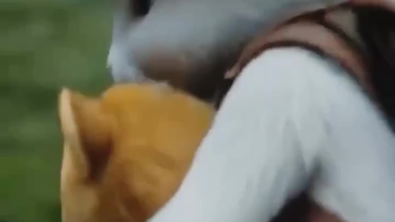 Top trending ai automation video how a rabbit saves cub