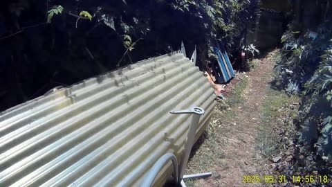 250531A___Madeira_NS-404._Preparing_materials_to_fix_cave_entrance_roof.(1080p)