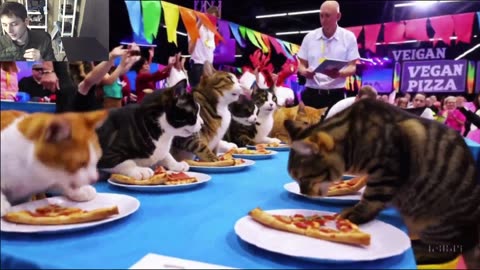 Outtake #1,171 Of The Cats Attempt The Vegan Pizza Eating Contest Fake Funny Parody Video