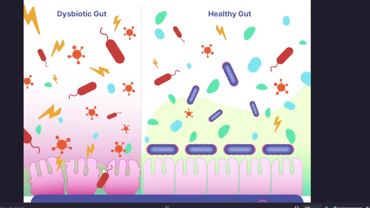 Probiotic Megaspore Ingredients Explained Part 1