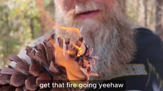 You’ll Never Look at a Pinecone the Same Again