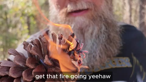 You’ll Never Look at a Pinecone the Same Again