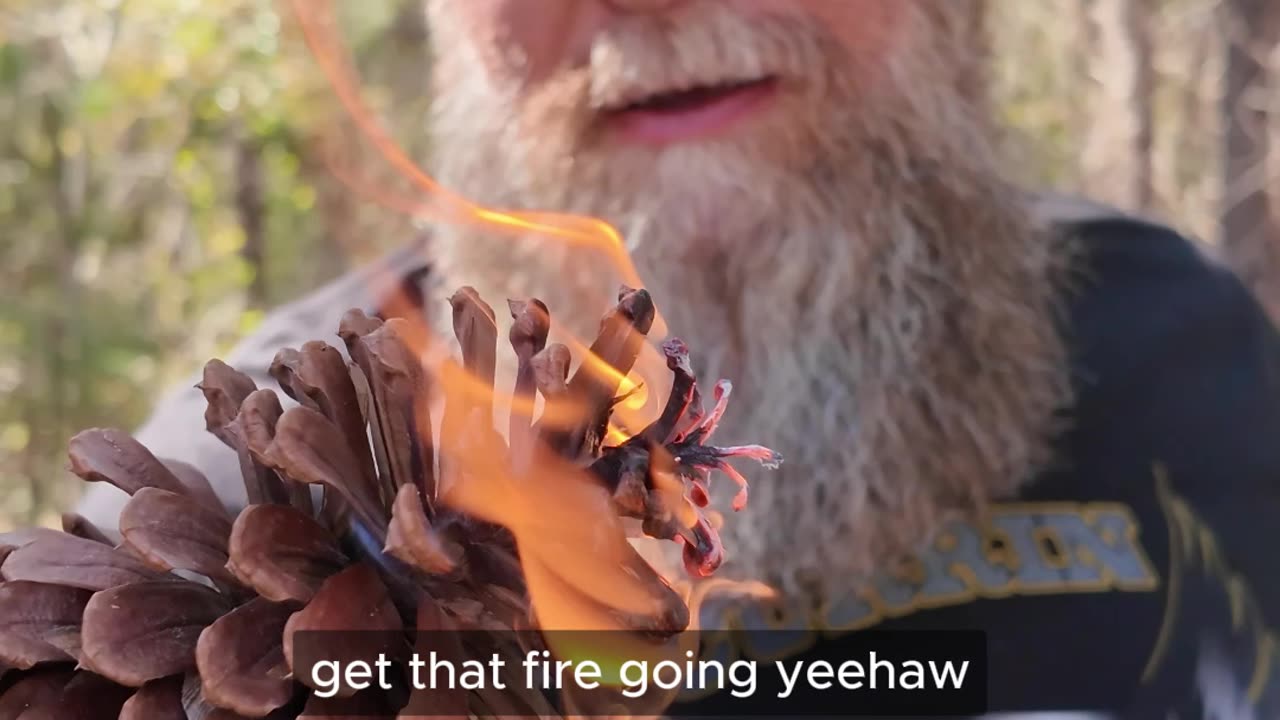 You’ll Never Look at a Pinecone the Same Again