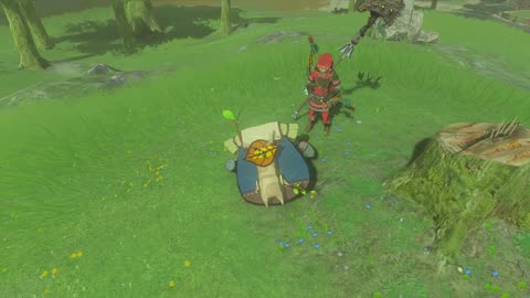korok seeds 63