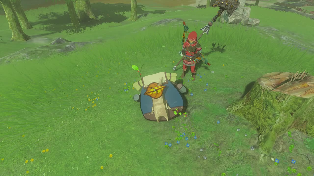 korok seeds 63