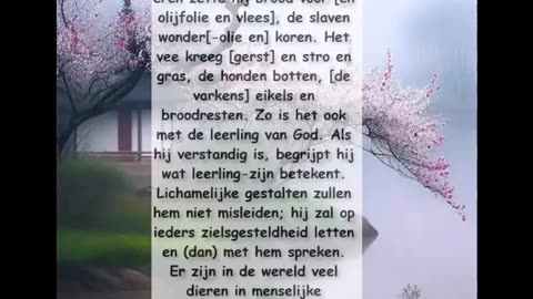 Een Heer Des Huizes
