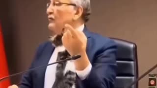 Adorable moment Turkish politician got interrupted on live by kitty