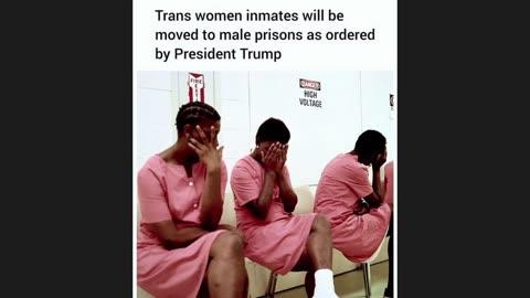 FRENtv - STORM CHRONICLES 1