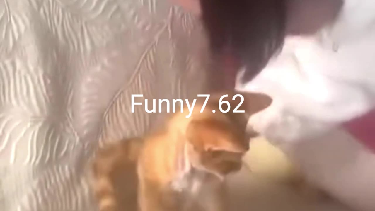 When Minnie wakes up