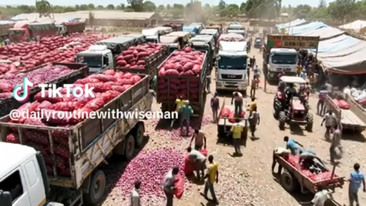 Ibrahim Traore exporting more onions