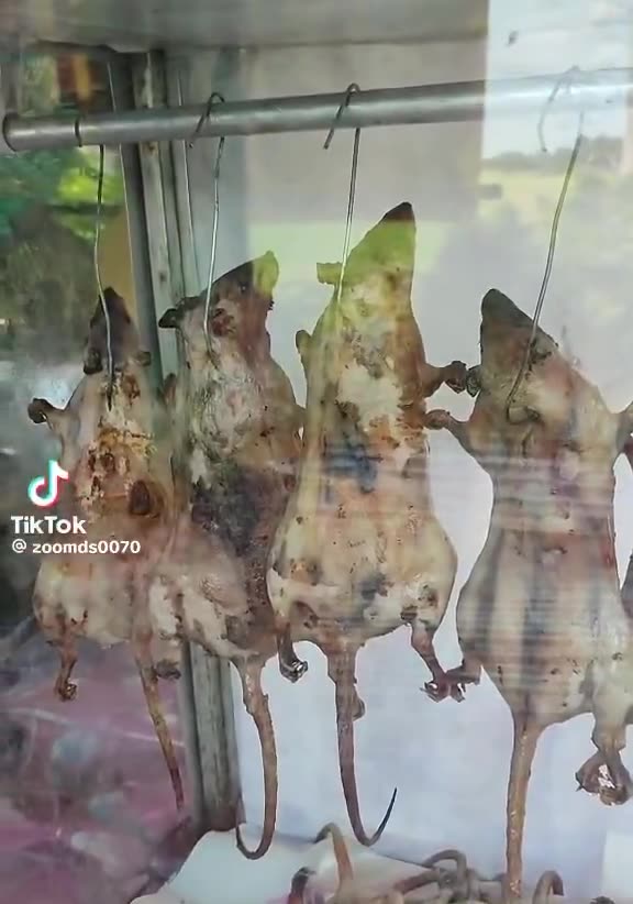 Birmingham street food has changed_! 🐀