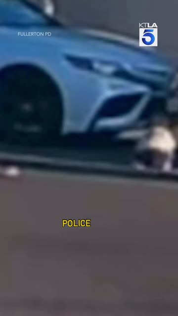 A Los Angeles Mother Arrested After Her Baby Flies Out Of The Ca