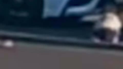 A Los Angeles Mother Arrested After Her Baby Flies Out Of The Ca