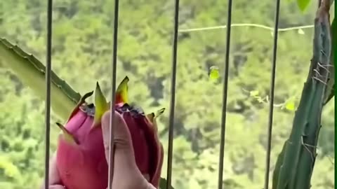 💡✨ A Clever Hack You'll Wish You Knew Sooner | LifeHacksDaily