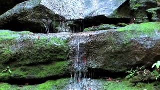 Elegant Classical Lofi for Work