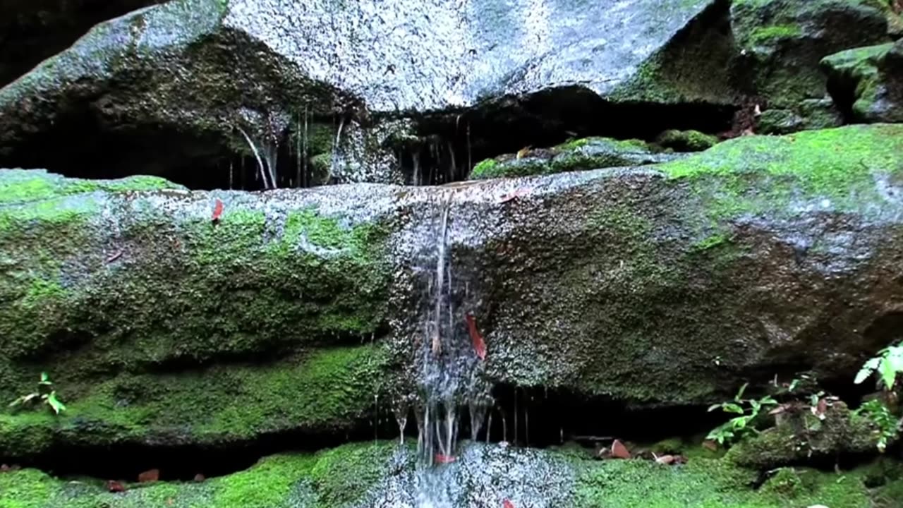 Elegant Classical Lofi for Work