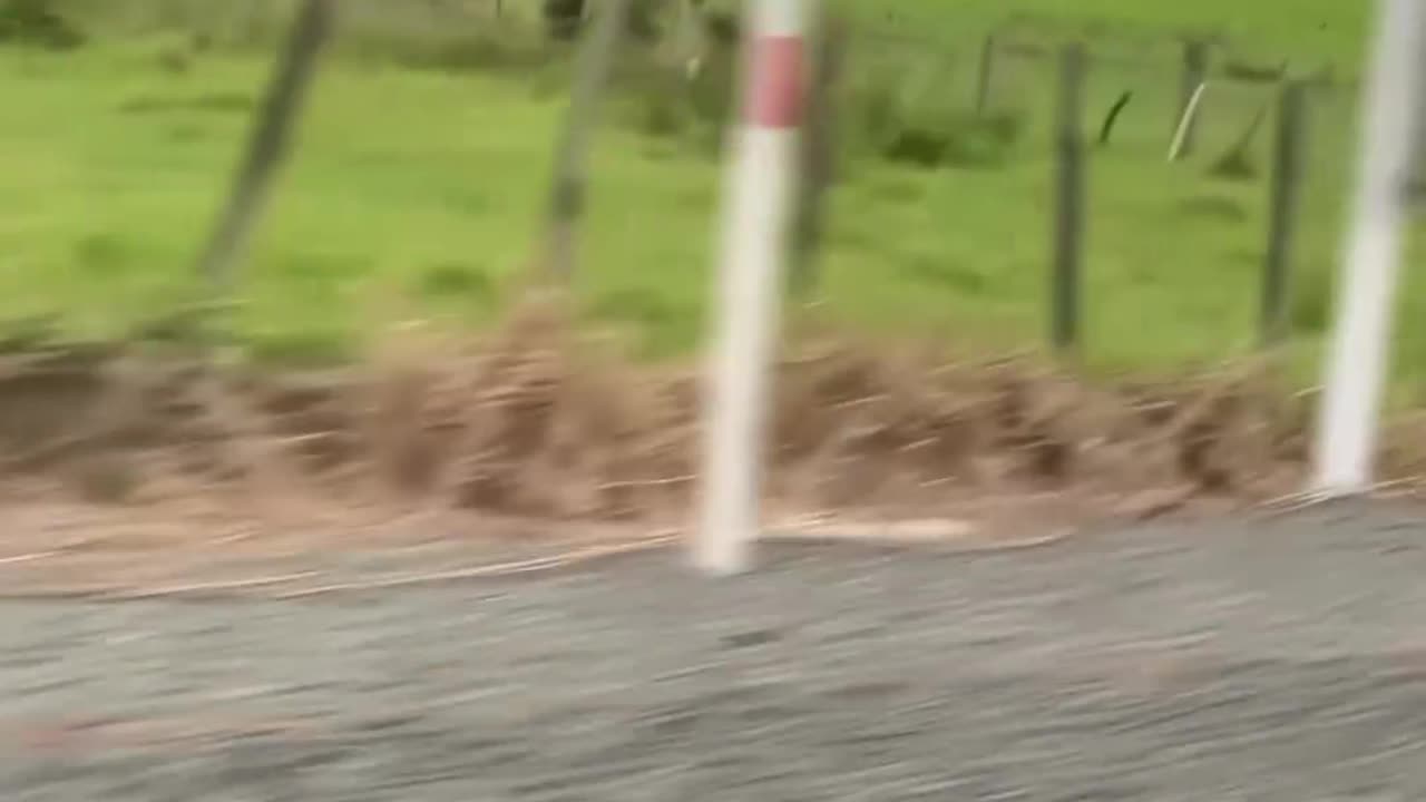 funnyvideosdaily