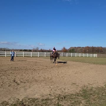 Riding Bear A very well trained western Appy!