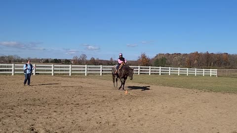 Riding Bear A very well trained western Appy!