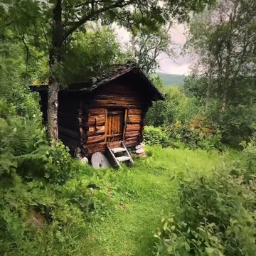 Life is better in the woods 🍃 …