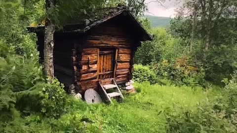Life is better in the woods 🍃 …