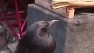 Don't Stop