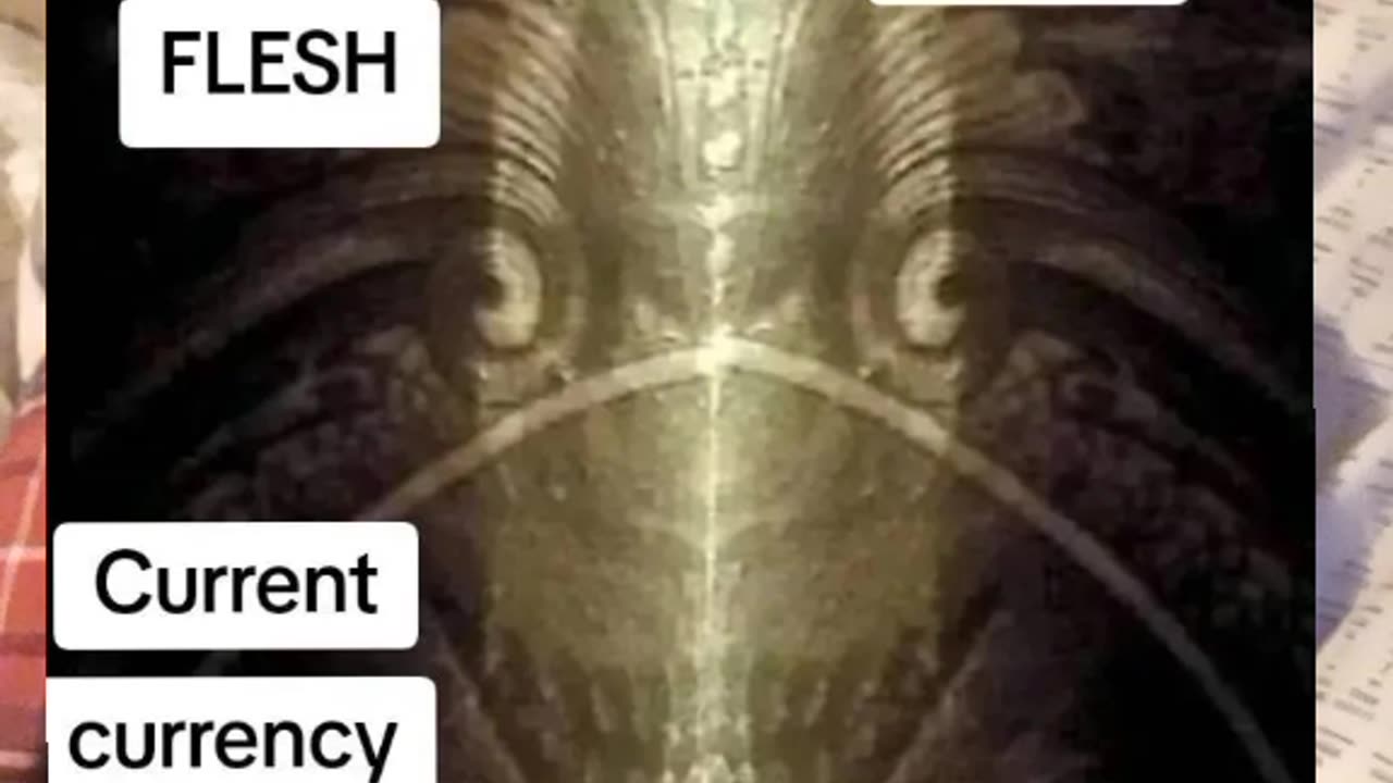 I AM NO ONES FLEA MARKET BUY