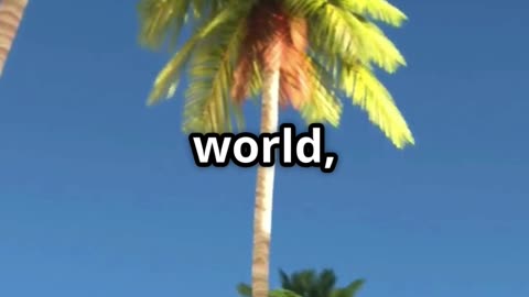 Palm Trees_ Ancient Survivors and Culture