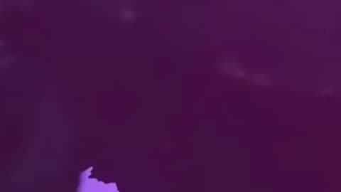 AI BEAST