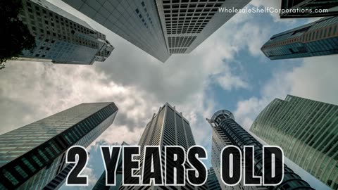 Don’t Start Over. Start Ahead – Only at WholesaleShelfCorporations.com