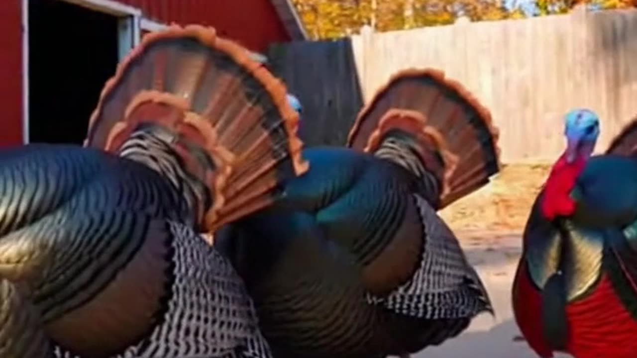 Another One Bites The Dust 🦃🔥 #Sora #Ai