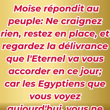 « N’ayez pas peur : Dieu combat pour vous » Exode 14:13.#shortvideo #shorts #youtubeshorts #ytshorts